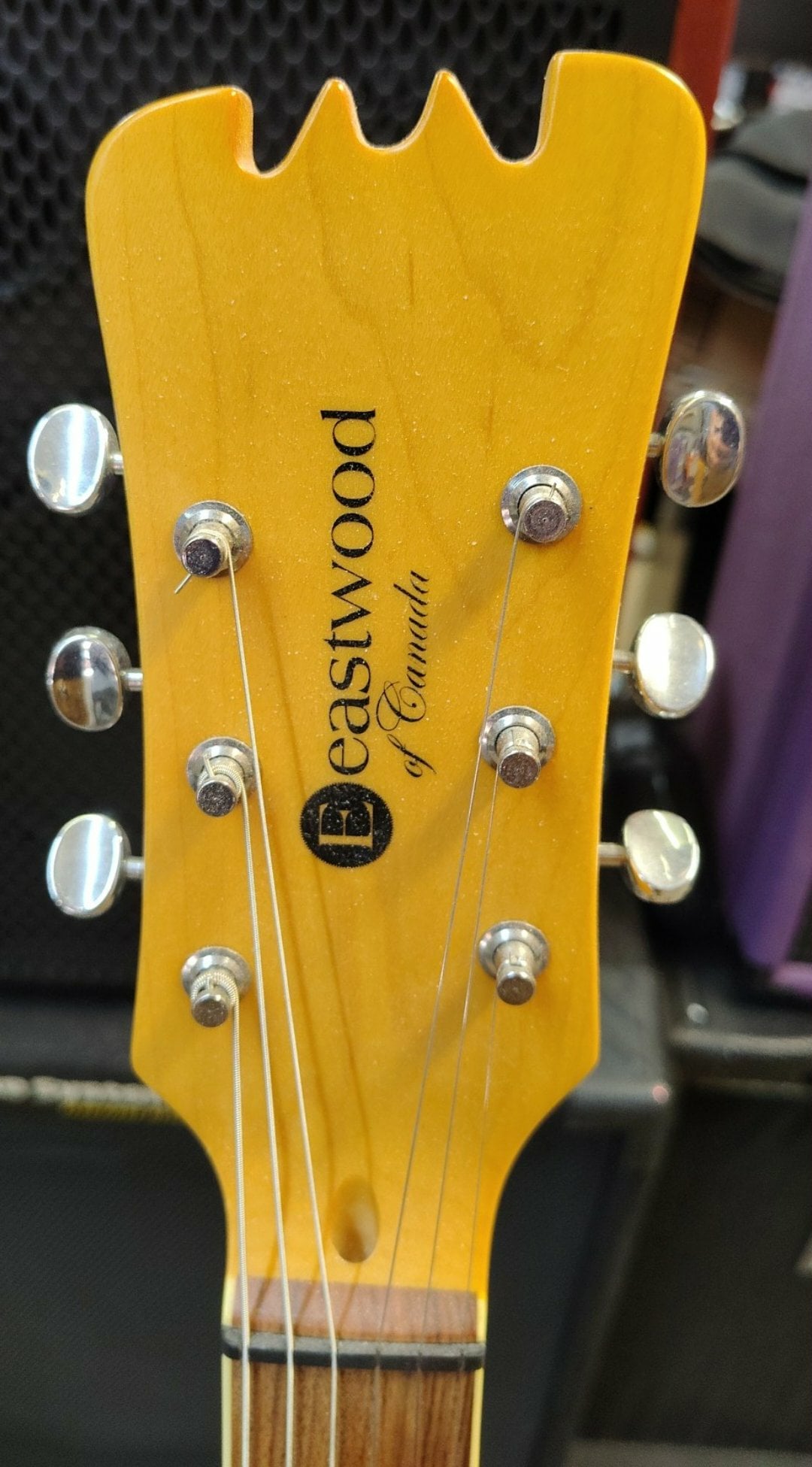 Eastwood Sidejack DLX – 2018 – Plays Like Butter