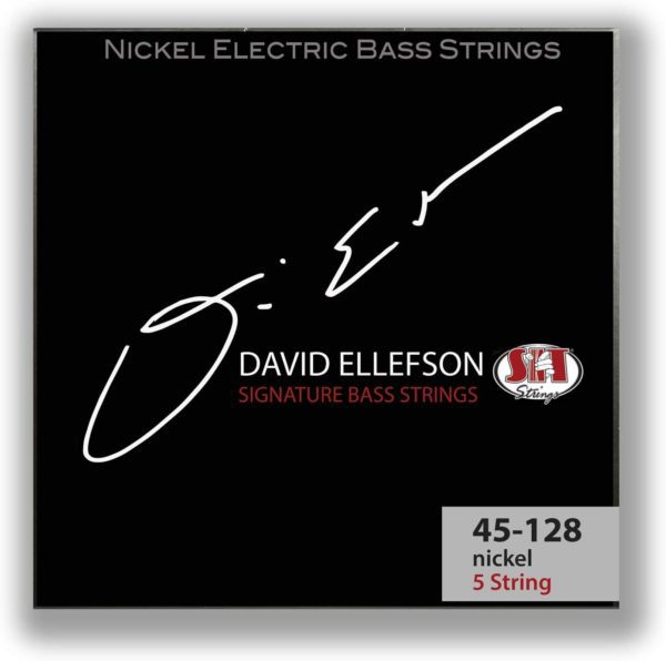 SIT David Ellefson Sig Set .045-.128 5 string