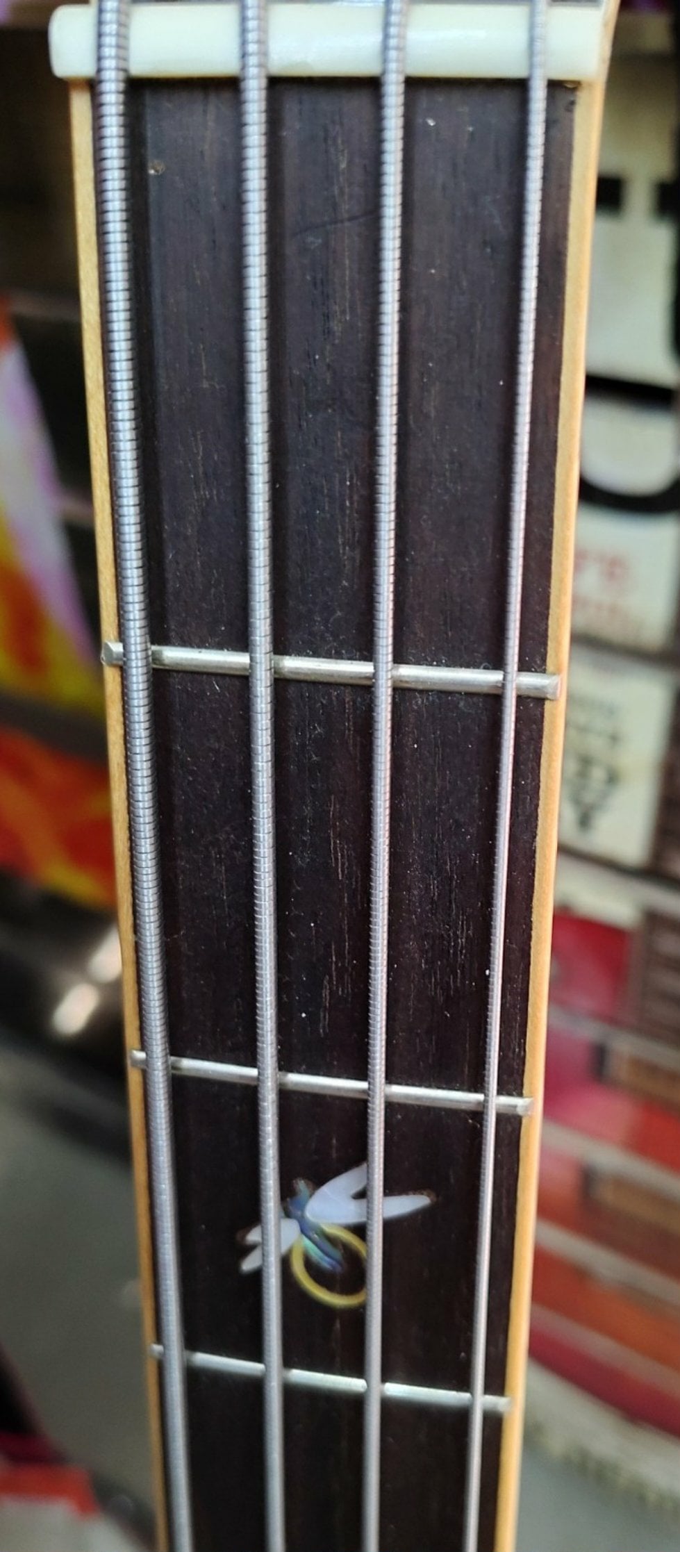 Michael Kelly Firefly Acoustic Bass - Used - Clear Black finish w/ Hardshell Case