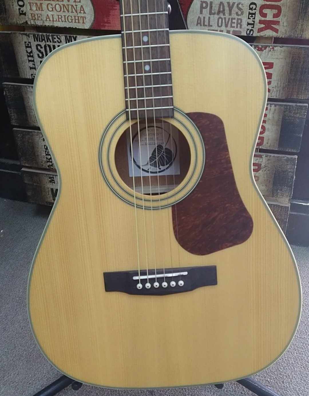 Acoustic Guitars