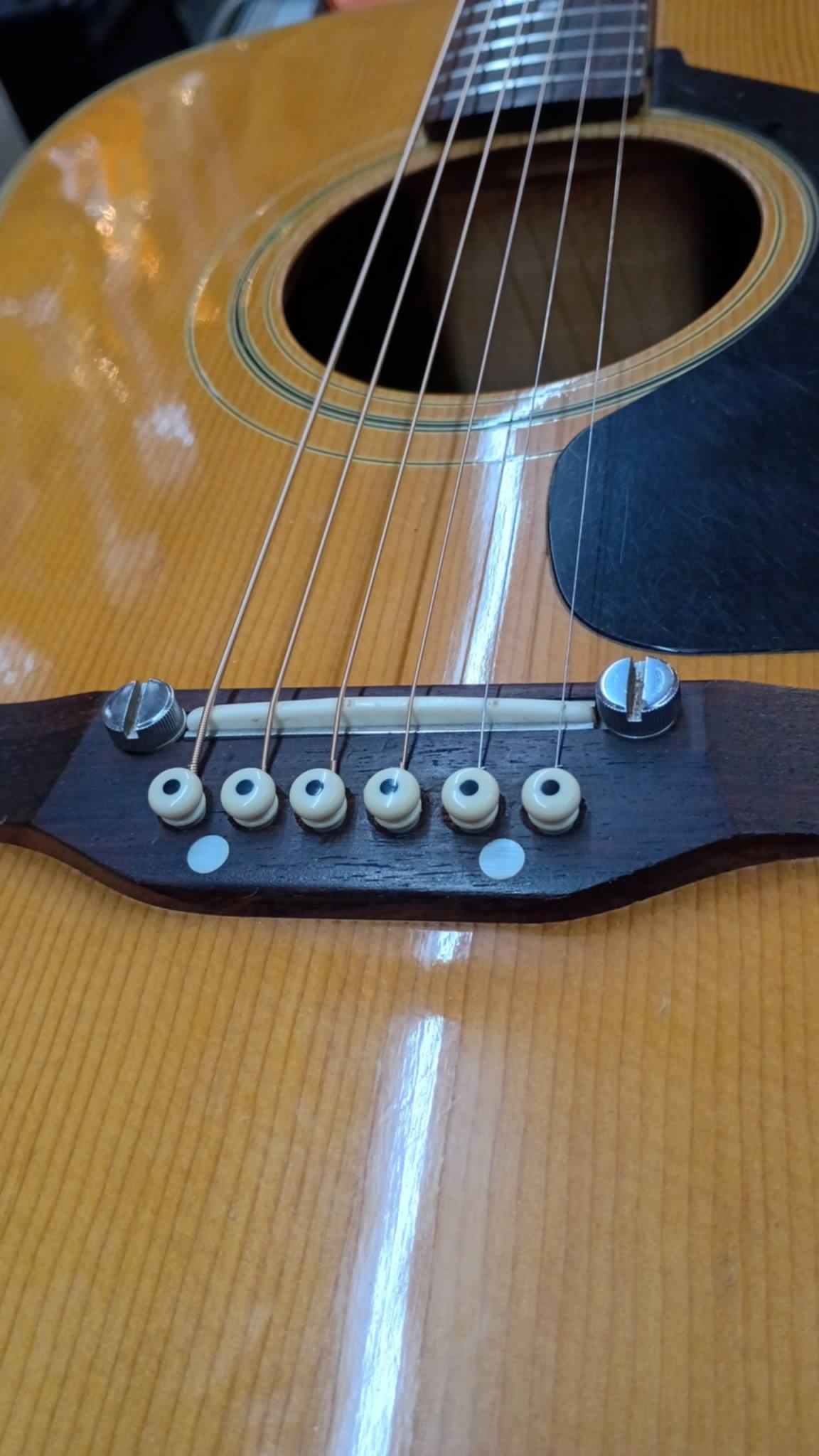 Vintage Aria 794 Acoustic – Early 70s MIJ Sleeper - Coolness on a Budget!