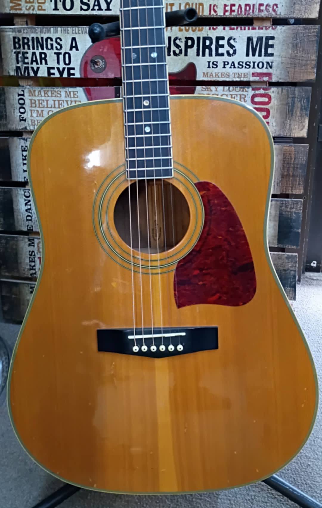 🎸 1996 Ibanez Artwood AW Series Dreadnought – Solid Spruce Top – Refretted