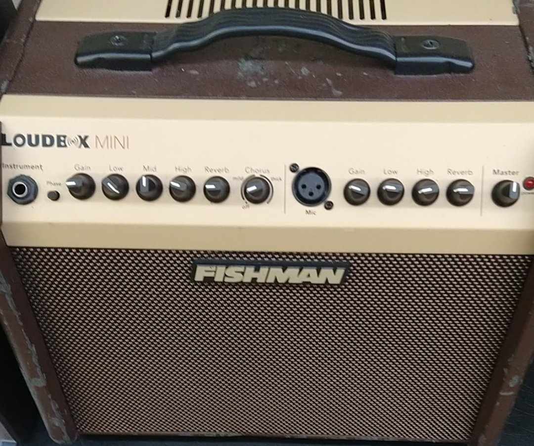 USED Fishman Loudbox Mini