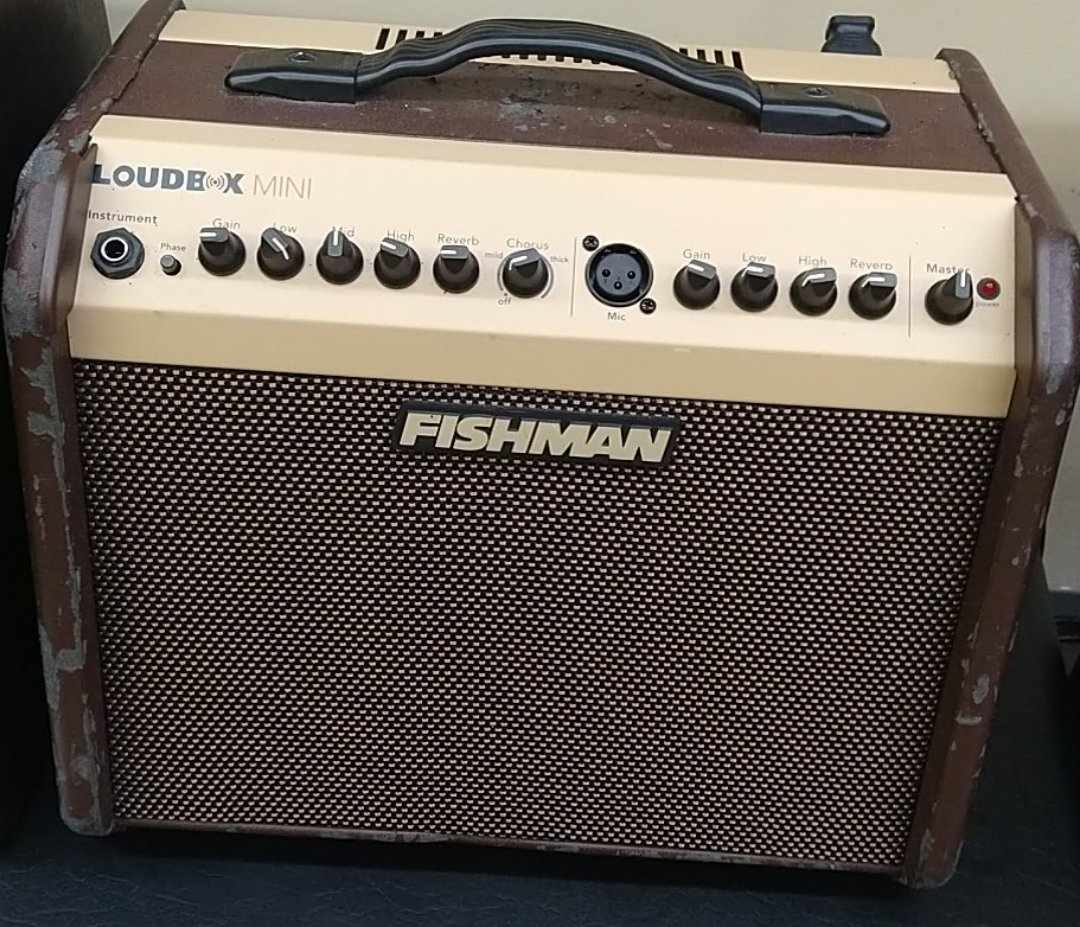 USED Fishman Loudbox Mini