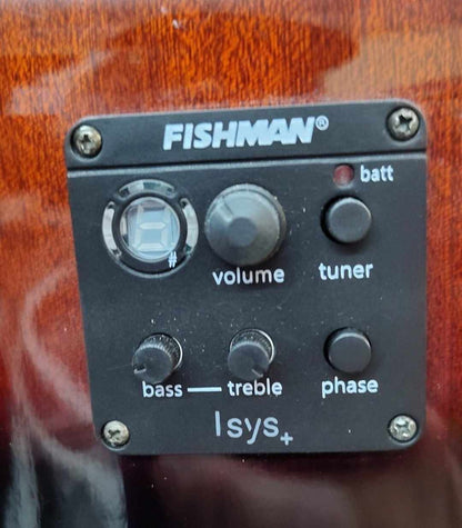 Washburn W D10 SCE - Fishman Preamp - Antique Tobacco Burst - 2015