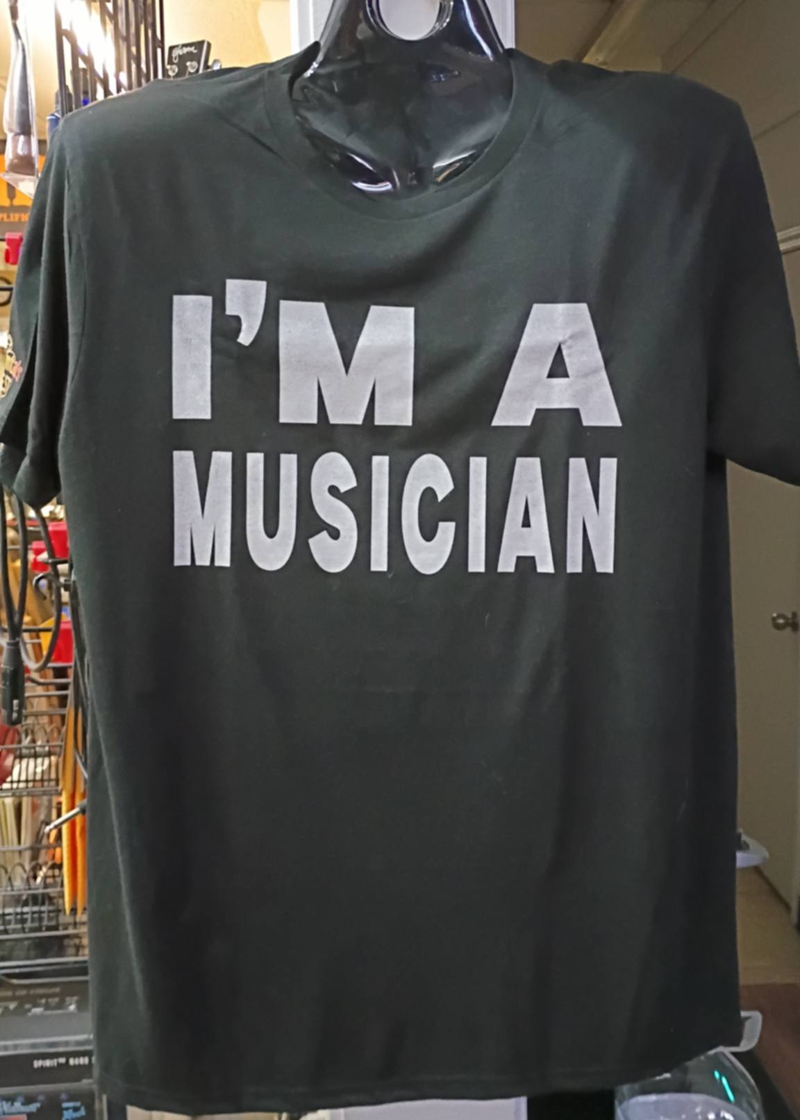 I'm A Musician. Can I Sleep On Your Couch? T-shirt