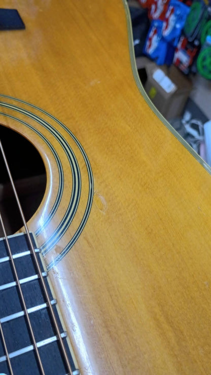 🎸 1996 Ibanez Artwood AW Series Dreadnought – Solid Spruce Top – Refretted