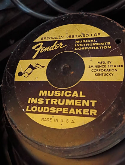 Fender Twin Reverb Reissue — Blackface Looks, Big Fender Sound