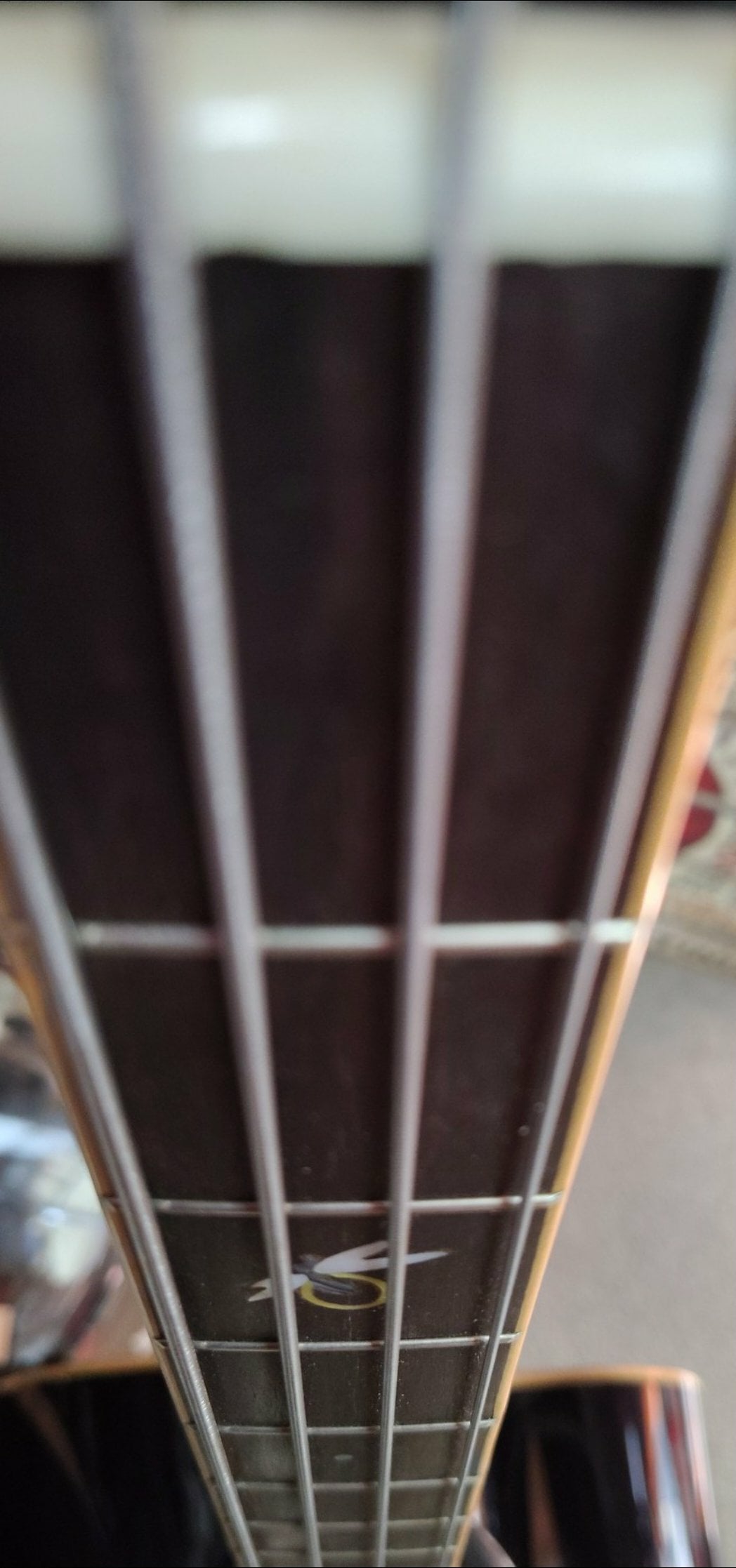 Michael Kelly Firefly Acoustic Bass - Used - Clear Black finish w/ Hardshell Case