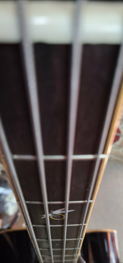 Michael Kelly Firefly Acoustic Bass - Used - Clear Black finish w/ Hardshell Case