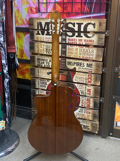 Washburn C5CE Classical Acoustic Electric - Amber - B-stock