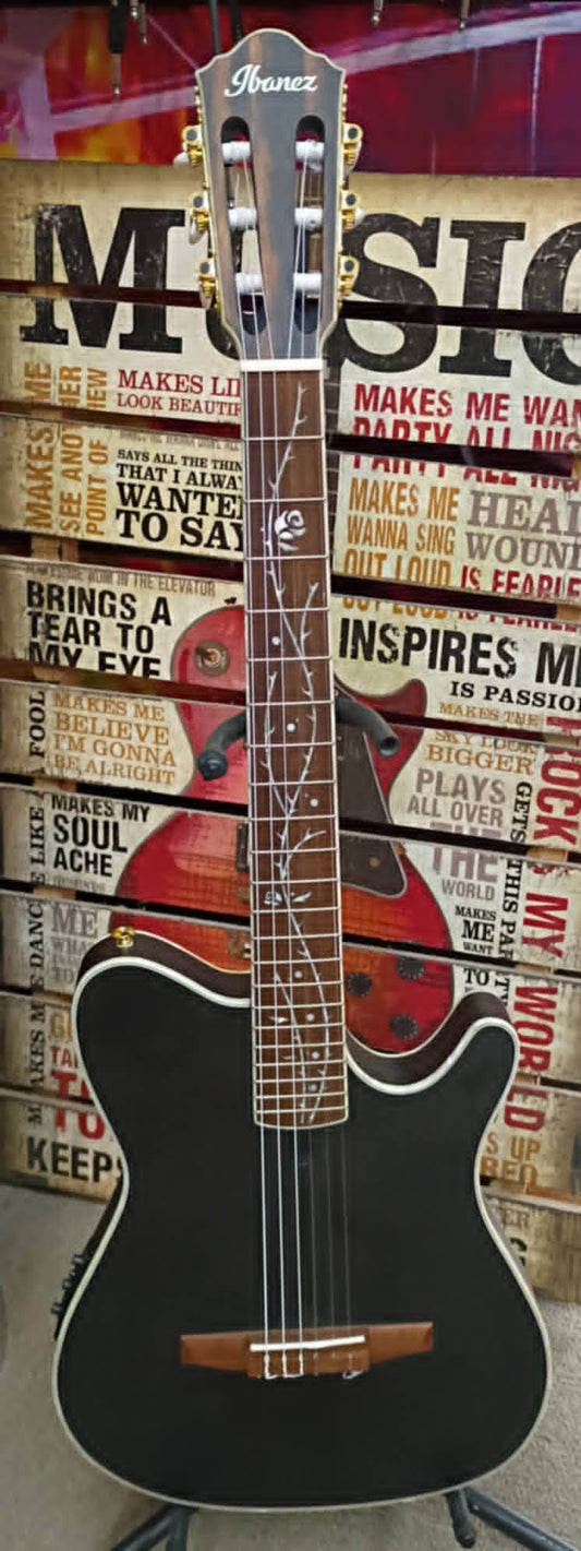 Ibanez TOD10N Tim Henson Signature Nylon Acoustic-Electric • 2024 • Hard Case Included