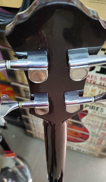 Michael Kelly Firefly Acoustic Bass - Used - Clear Black finish w/ Hardshell Case