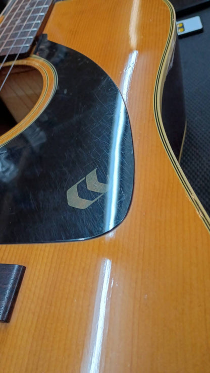 Vintage Aria 794 Acoustic – Early 70s MIJ Sleeper - Coolness on a Budget!