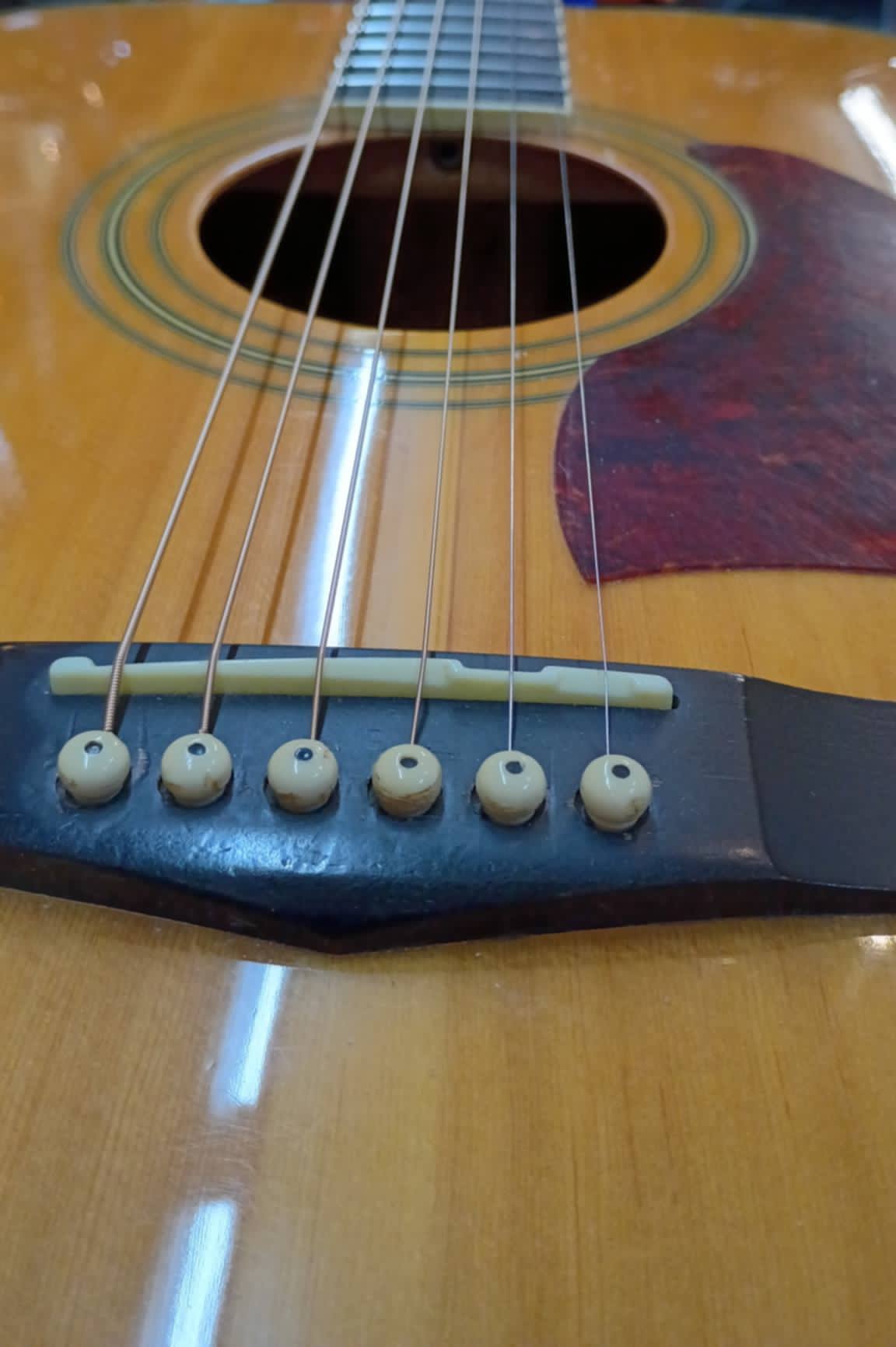 🎸 1996 Ibanez Artwood AW Series Dreadnought – Solid Spruce Top – Refretted