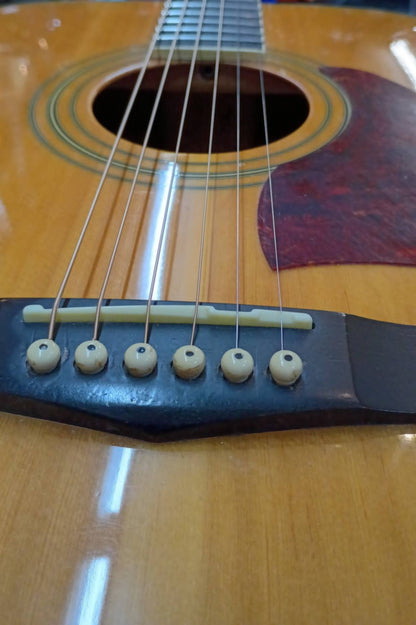 🎸 1996 Ibanez Artwood AW Series Dreadnought – Solid Spruce Top – Refretted