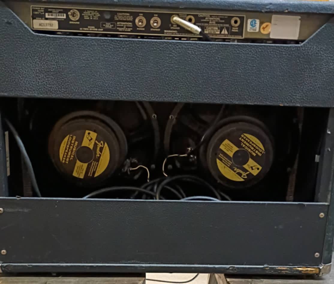 Fender Twin Reverb Reissue — Blackface Looks, Big Fender Sound