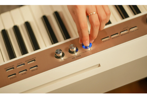 NUX NPK-20 Portable Digital Piano